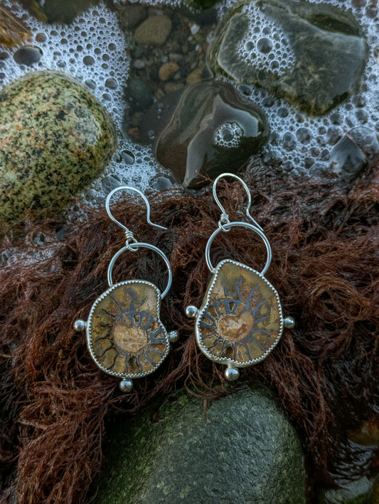 Ammonite Spiral Earrings